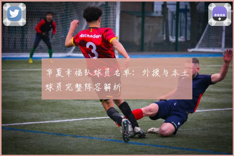 华夏幸福队球员名单:外援与本土球员完整阵容解析